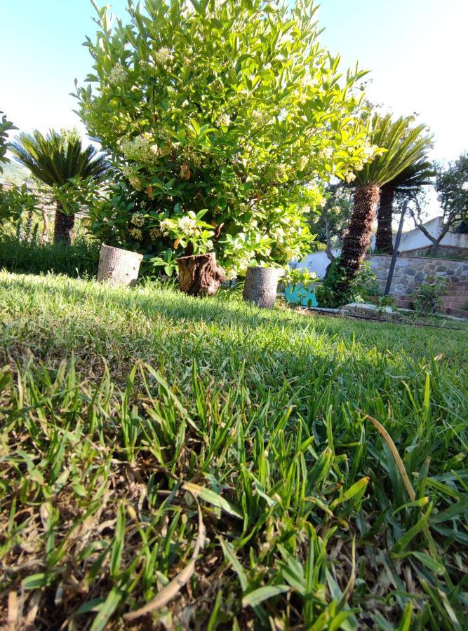 Villa Martino Apartments Cefalù Esterno foto